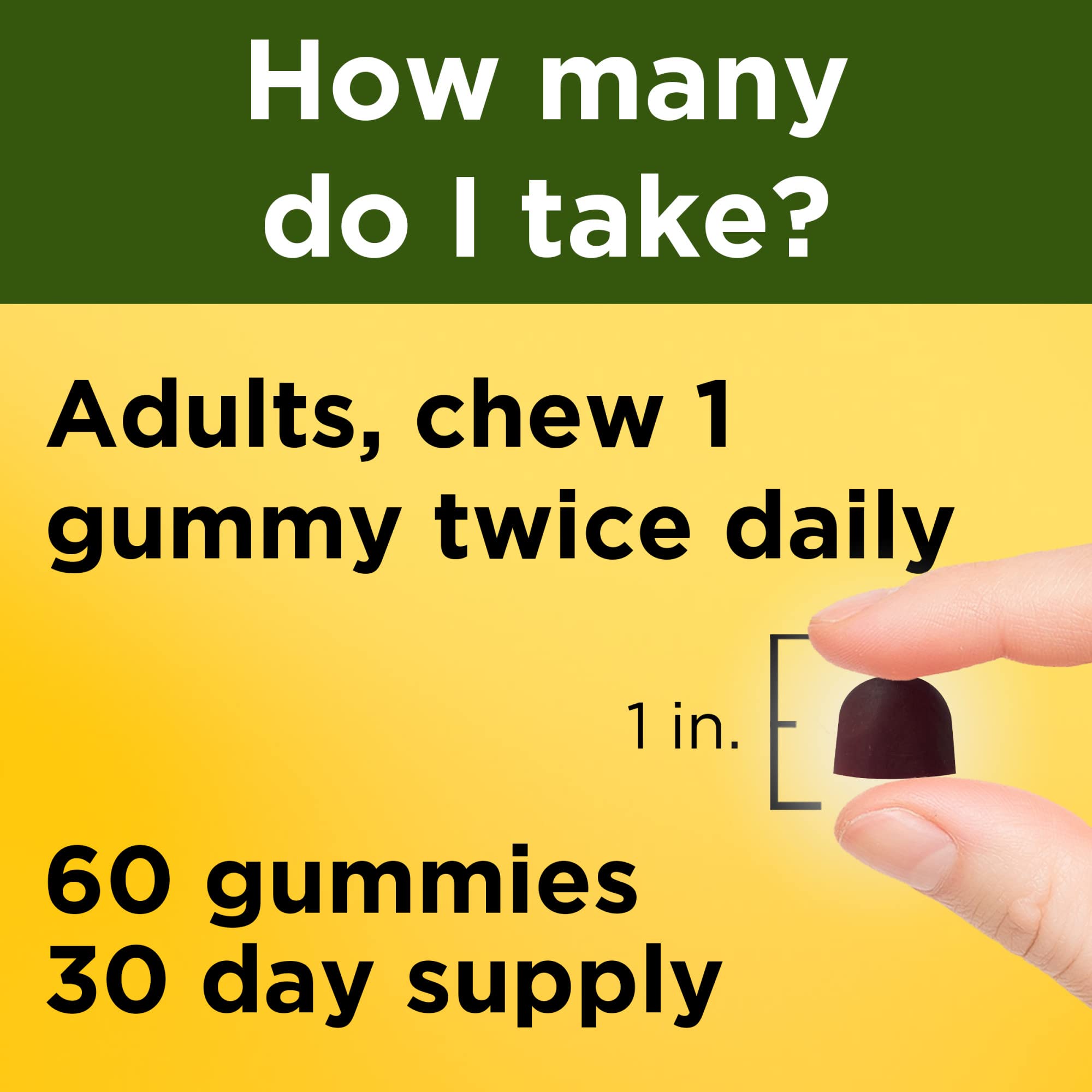 Nature Made Ashwagandha Gummies mixed berry flavor offers tasty daily use.