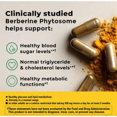 Close-up of Nature Made Berberine Phytosome capsules for convenient daily supplementation