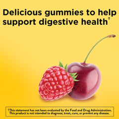 Nature Made Digestive Probiotics gummies in raspberry and cherry flavors.
