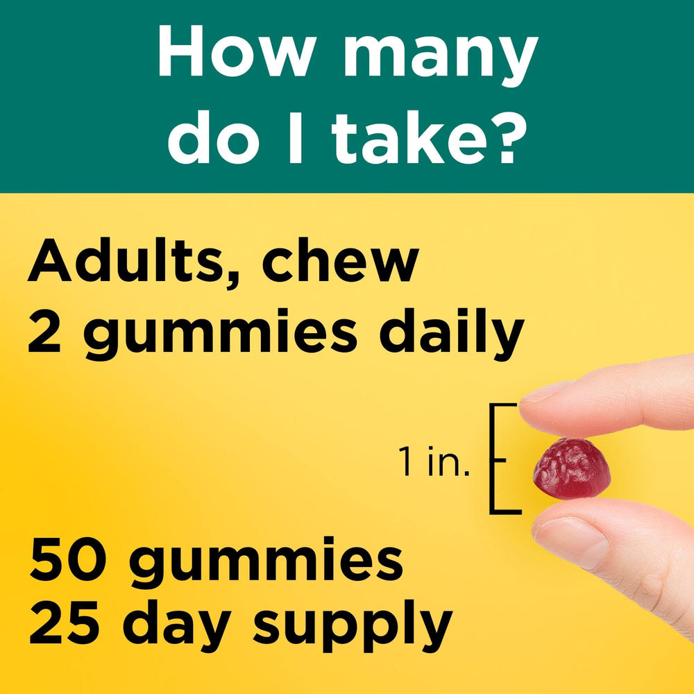 Nature Made Energy B12 Gummies bottle ready for daily use.
