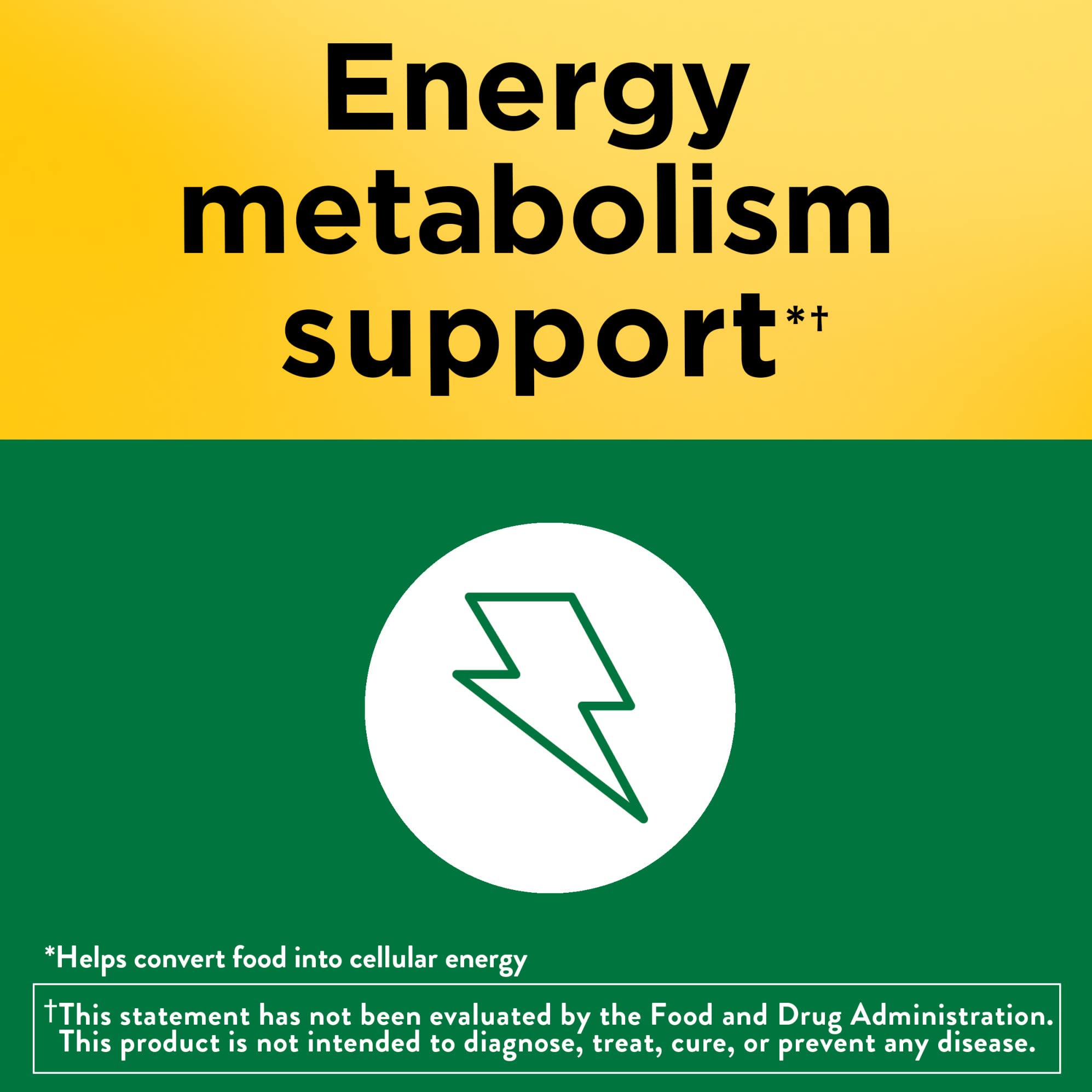 Nature Made Vitamin B1 tablets in hand for easy daily intake.