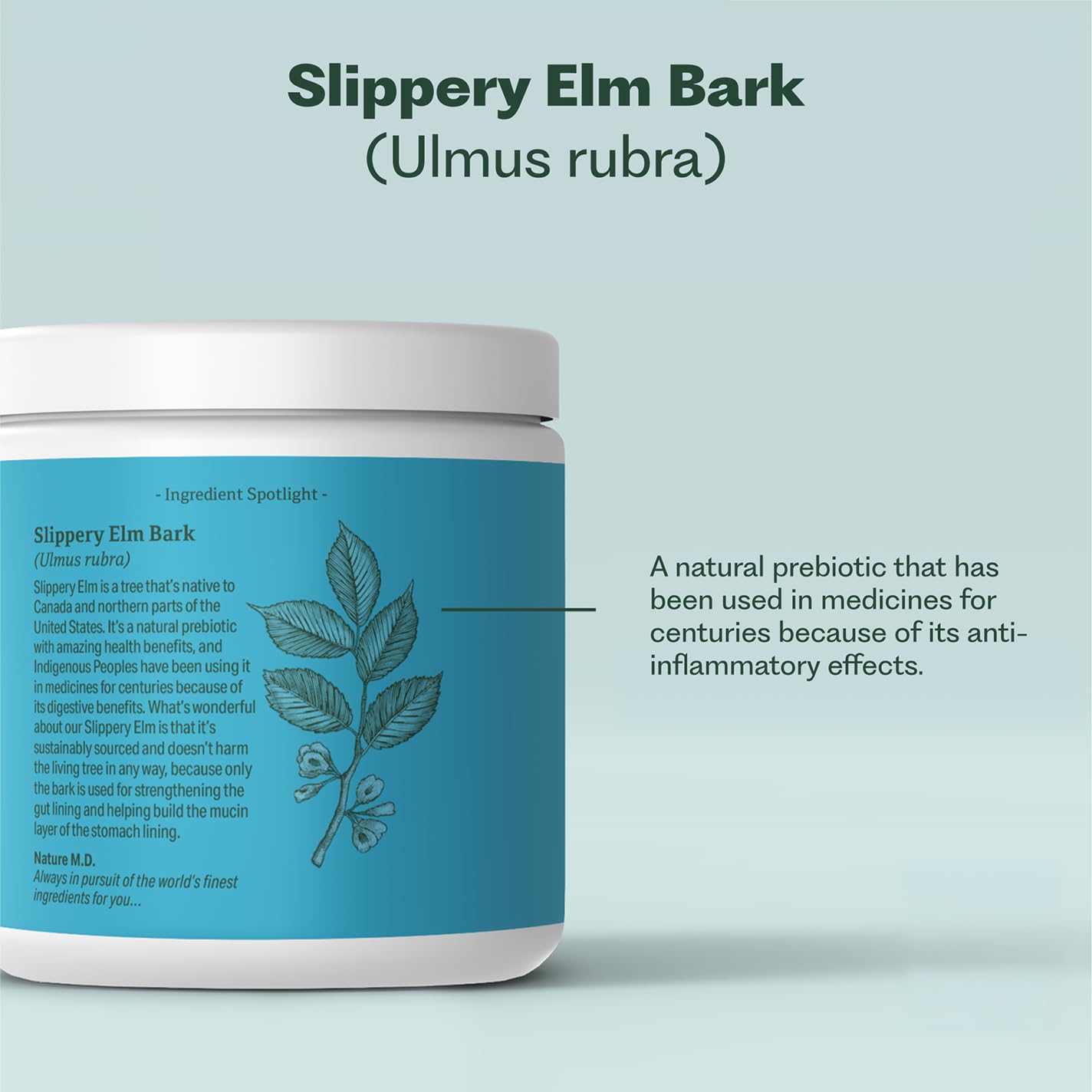Nature M.D. GutConnect 365 close-up of L-glutamine ingredient for gut lining support.