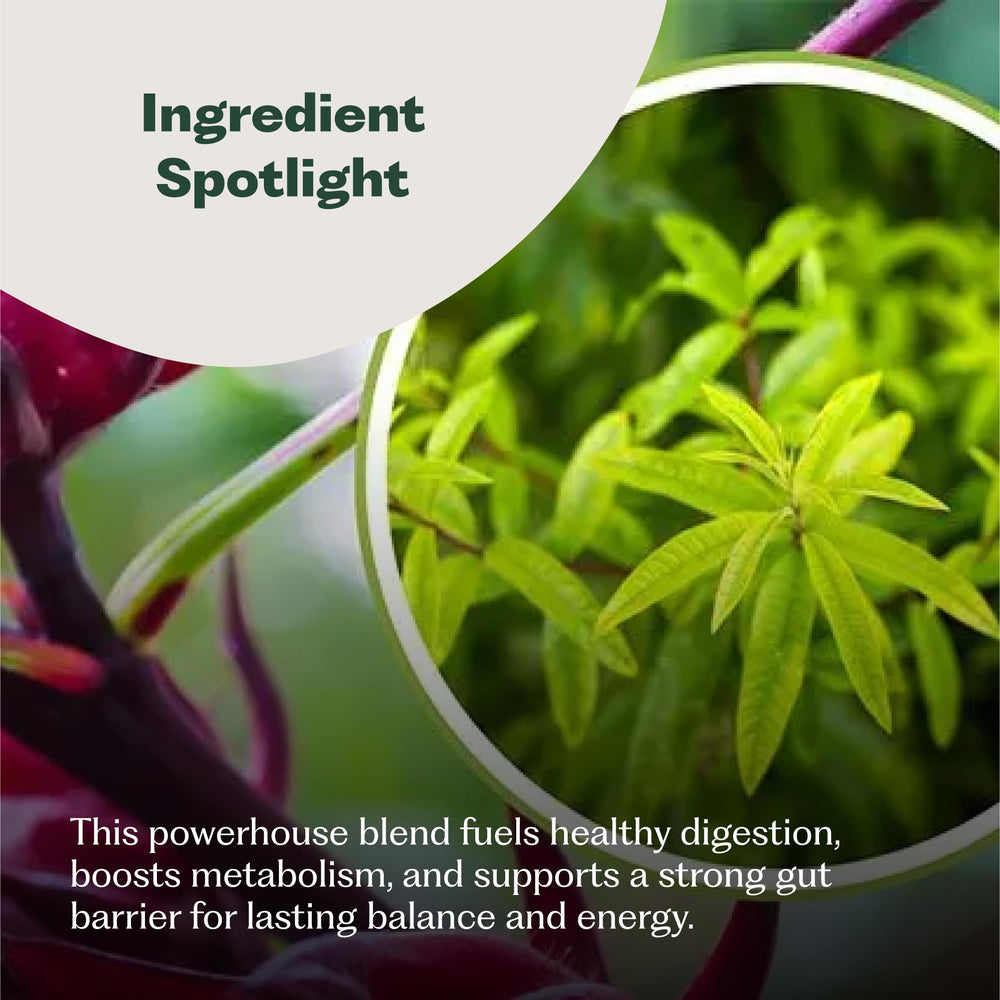Nature M.D. GutRhythm wild berry powder swirls in water for a tasty, low-calorie sip.