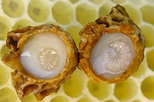 NatureNow Royal Jelly packaging display, bottle ready for everyday routines