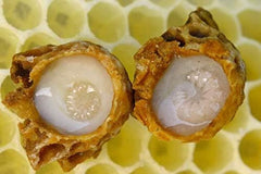 NatureNow Royal Jelly packaging display, bottle ready for everyday routines