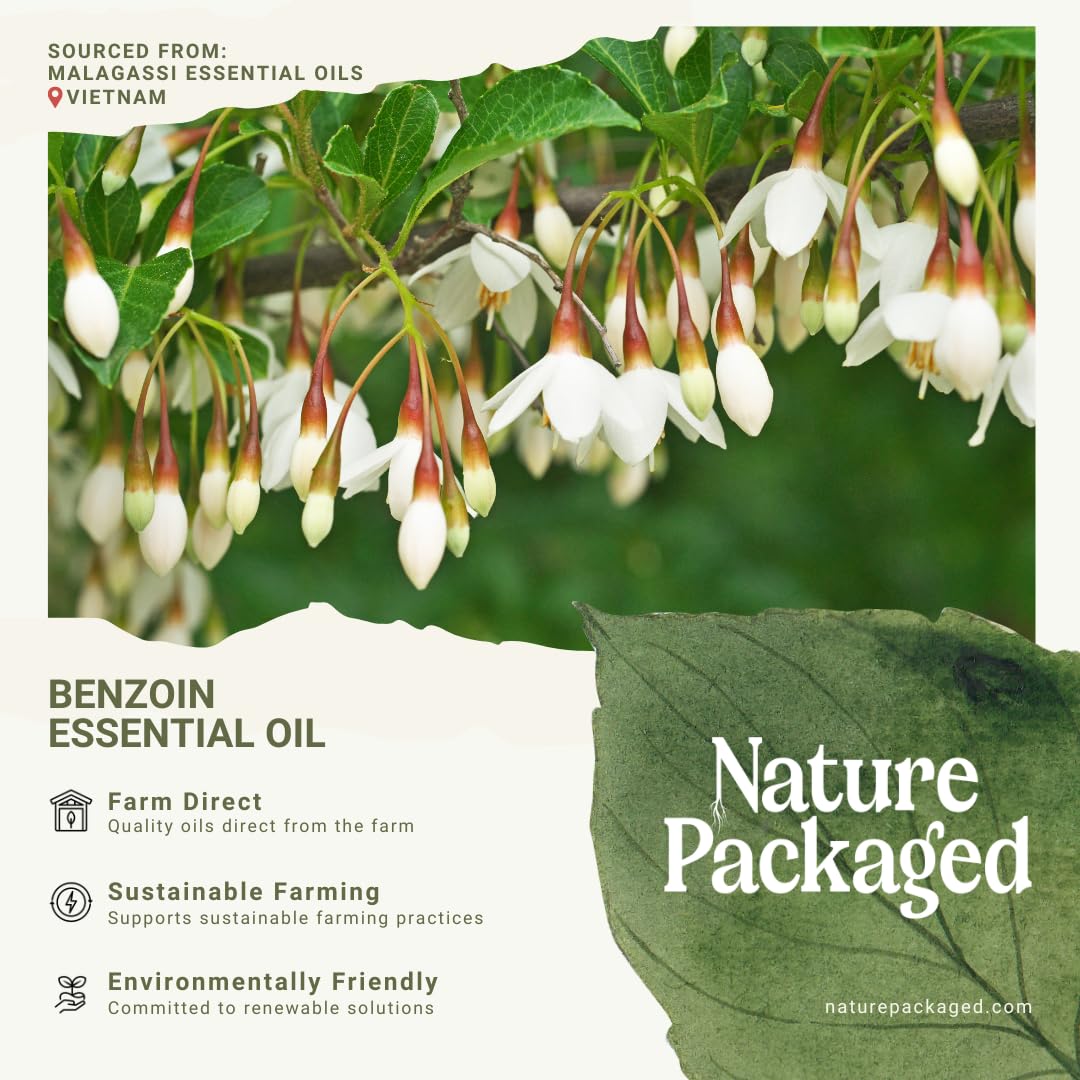 Nature Packaged Benzoin Oil dropper closeup shows pure formula for skincare.