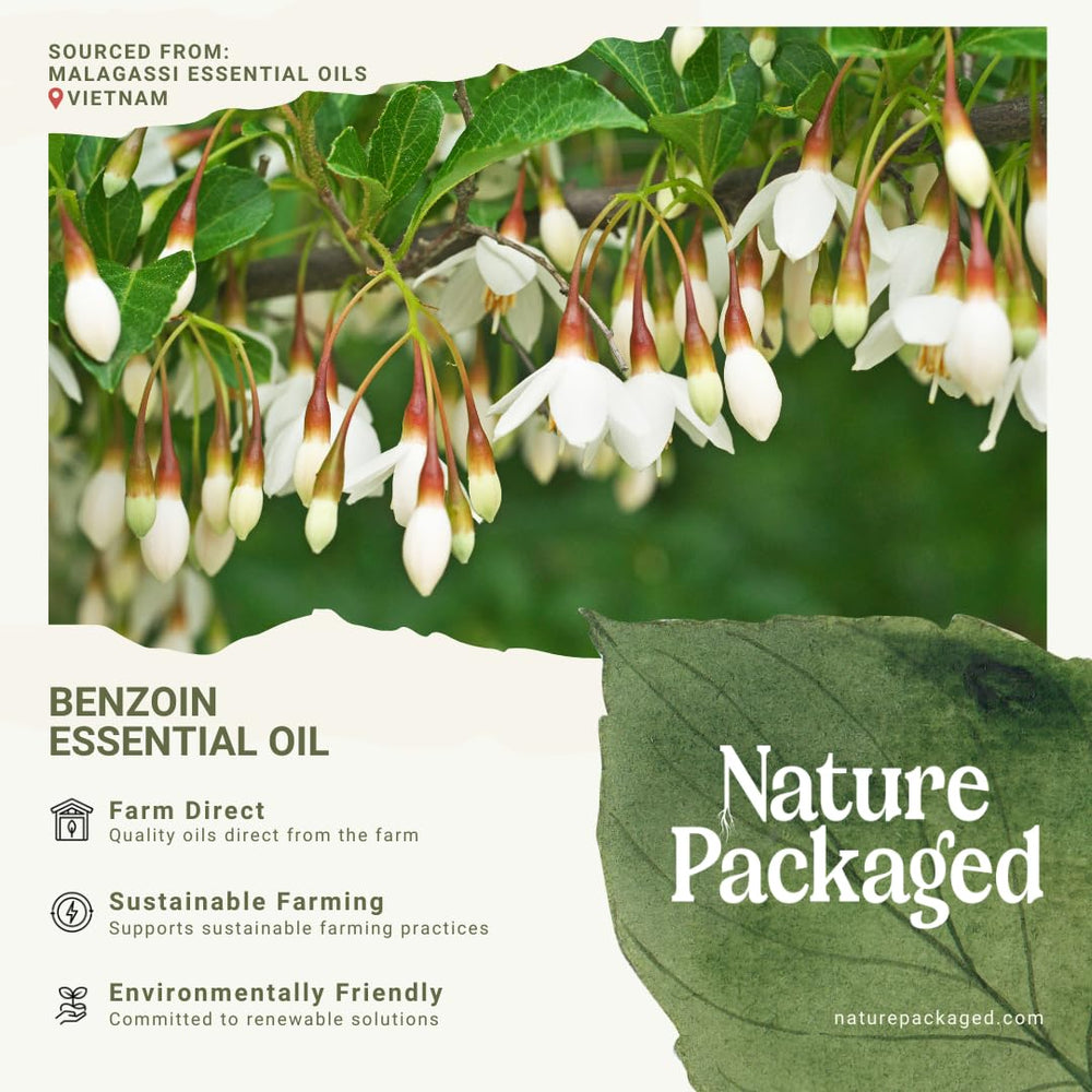 Nature Packaged Benzoin Oil dropper closeup shows pure formula for skincare.