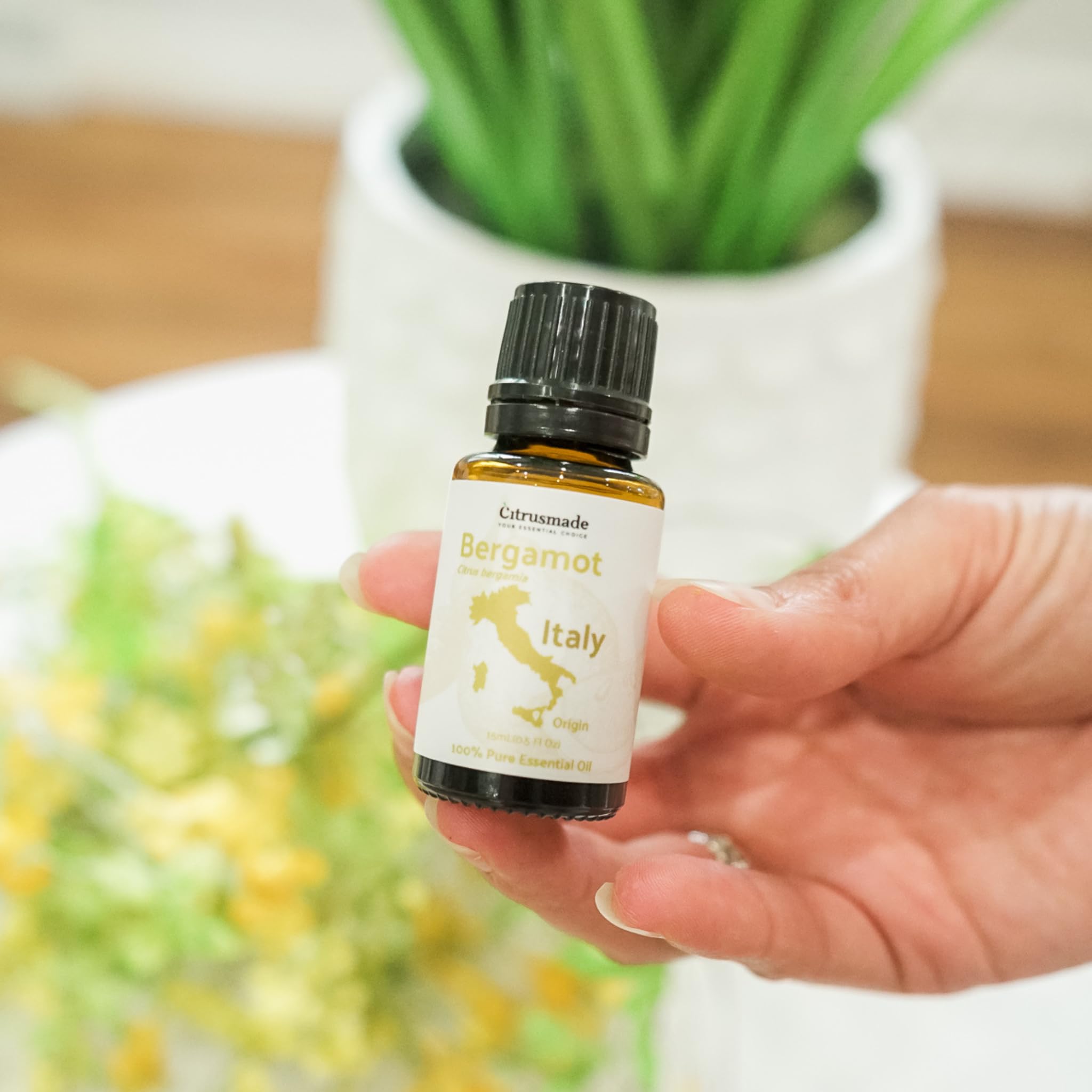 Nature Packaged bergamot fruit in Sicily evokes premium natural fragrance