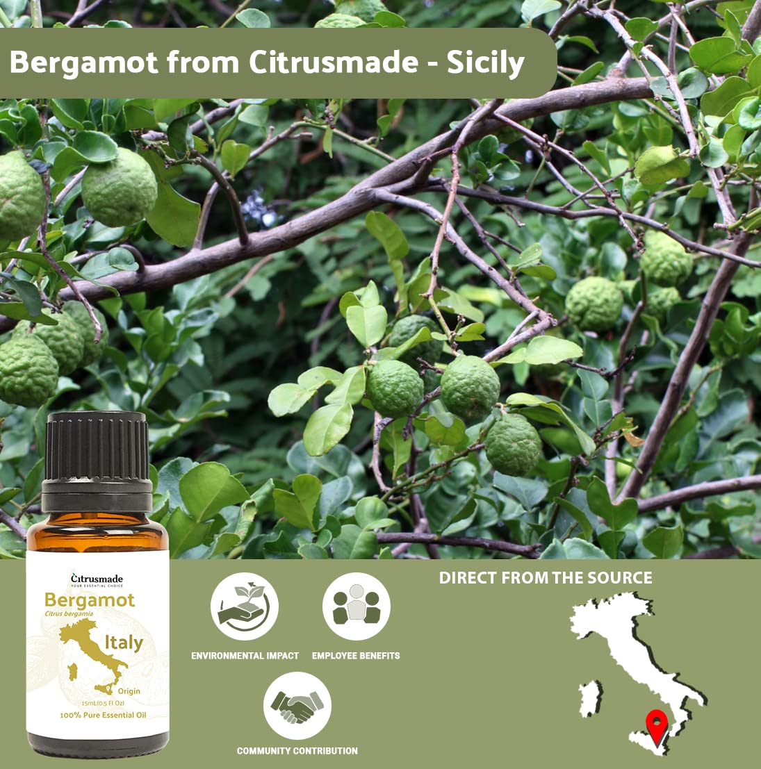 Nature Packaged bergamot oil diffuser blend enhances bright home fragrance