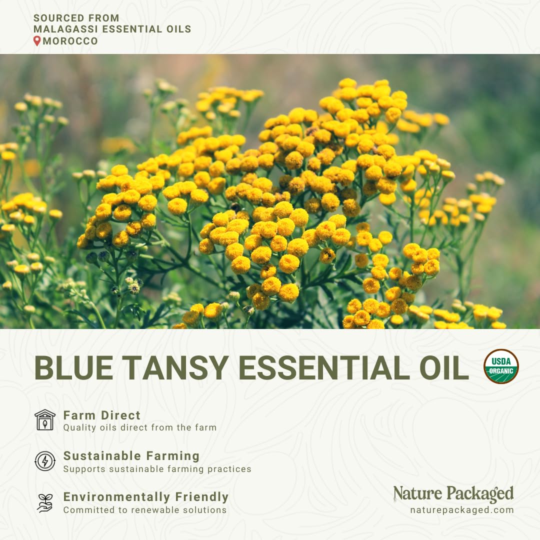 Nature Packaged Blue Tansy oil massage setup for relaxation.