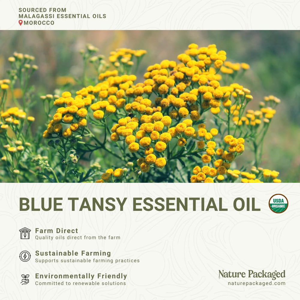 Nature Packaged Blue Tansy oil massage setup for relaxation.