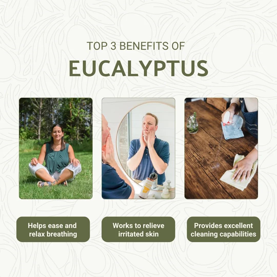 Nature Packaged Eucalyptus Oil diffuser scene, promoting a soothing atmosphere and calm mood.