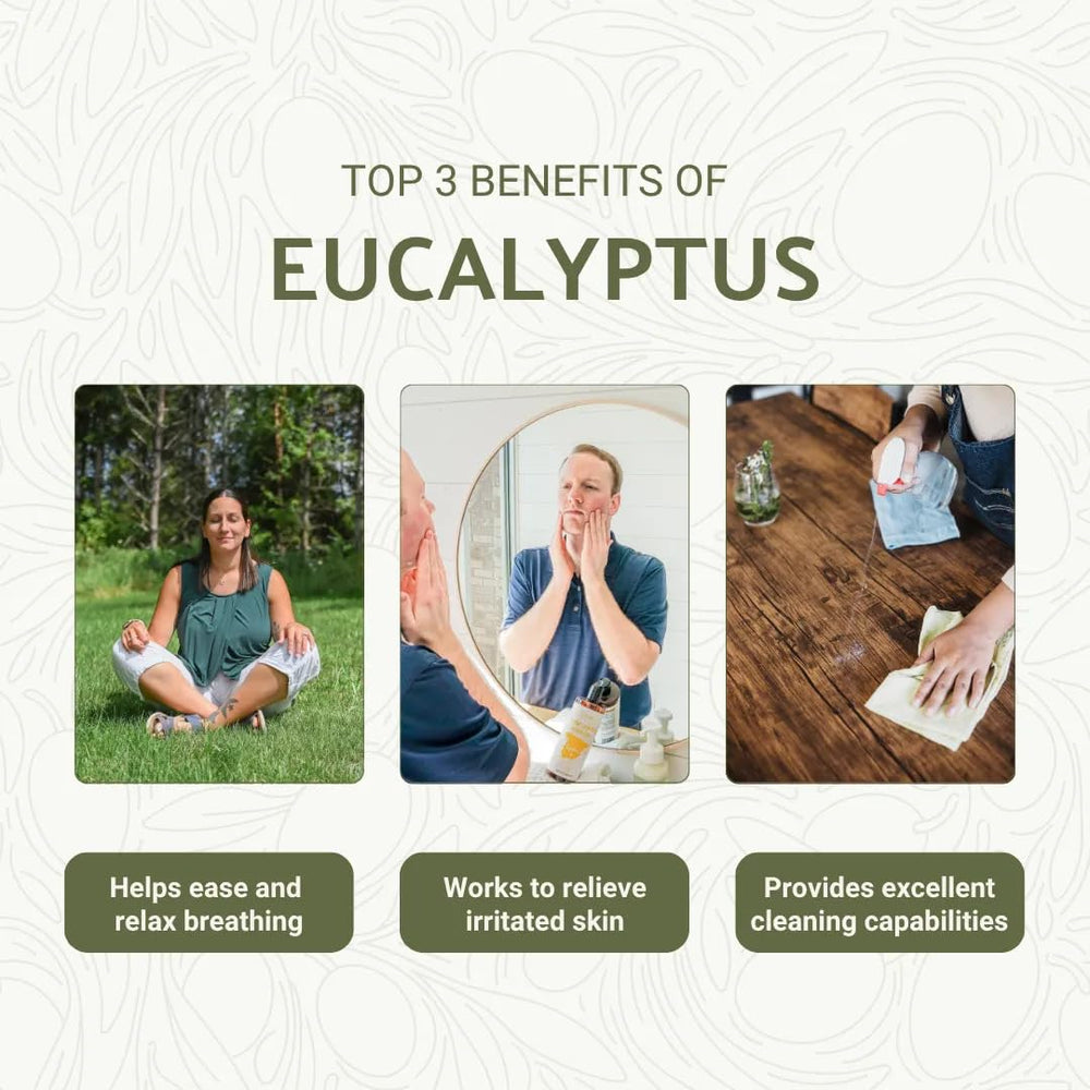 Nature Packaged Eucalyptus Oil diffuser scene, promoting a soothing atmosphere and calm mood.