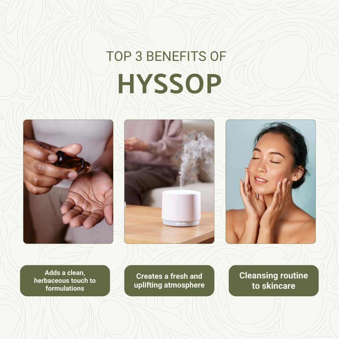 Nature Packaged Hyssop leaves harvest showing Spanish origin