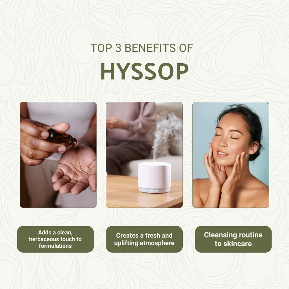 Nature Packaged Hyssop leaves harvest showing Spanish origin