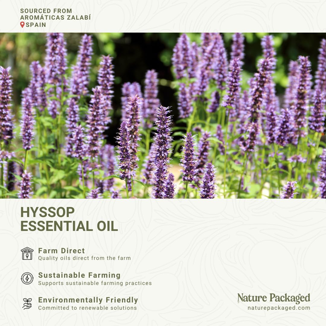 Nature Packaged Hyssop Oil distillation scene highlighting purity