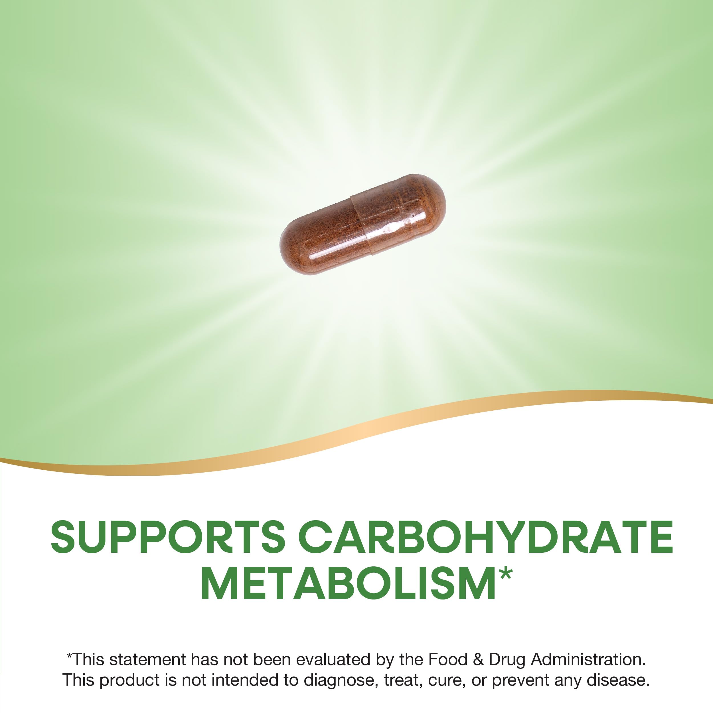Nature's Way Cinnamon Extract packaging image indicating gluten-free formula