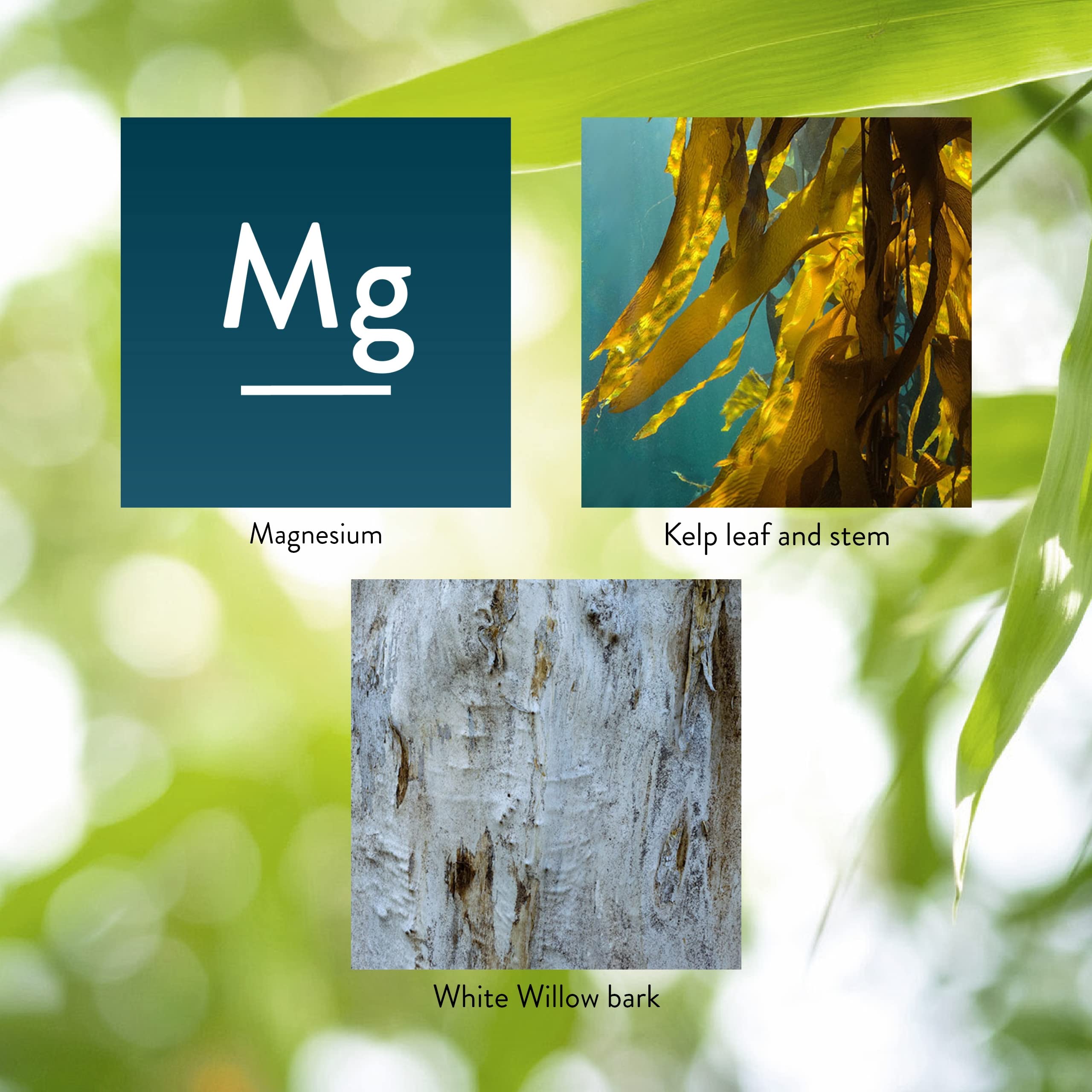 Nature's Sunshine Magnesium bottle close-up, displaying mineral blend and quality