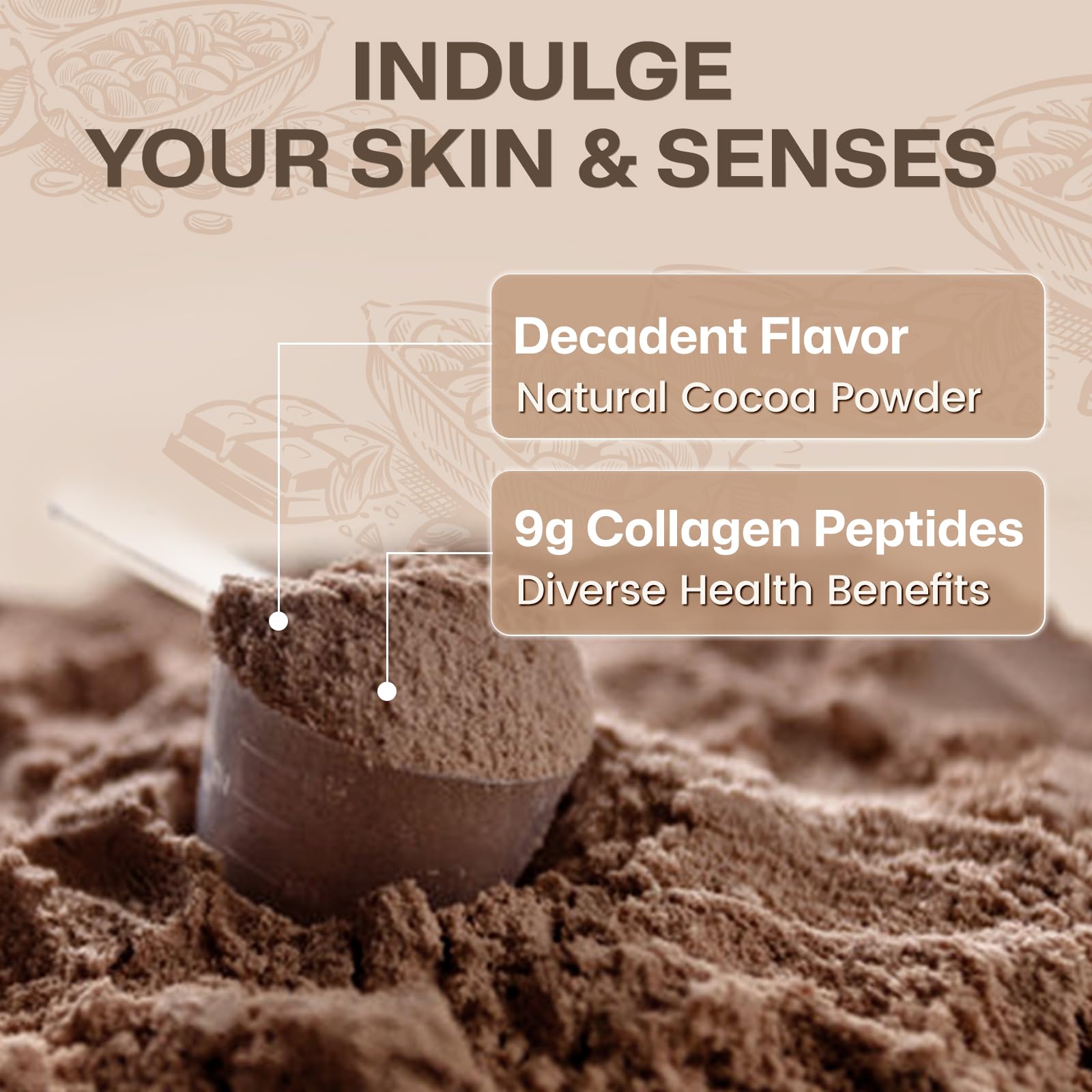 Nature Target alkaline cocoa powder closeup hints at rich flavor.