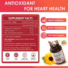 Nature Target CoQ10 softgels in olive oil bottle for enhanced absorption