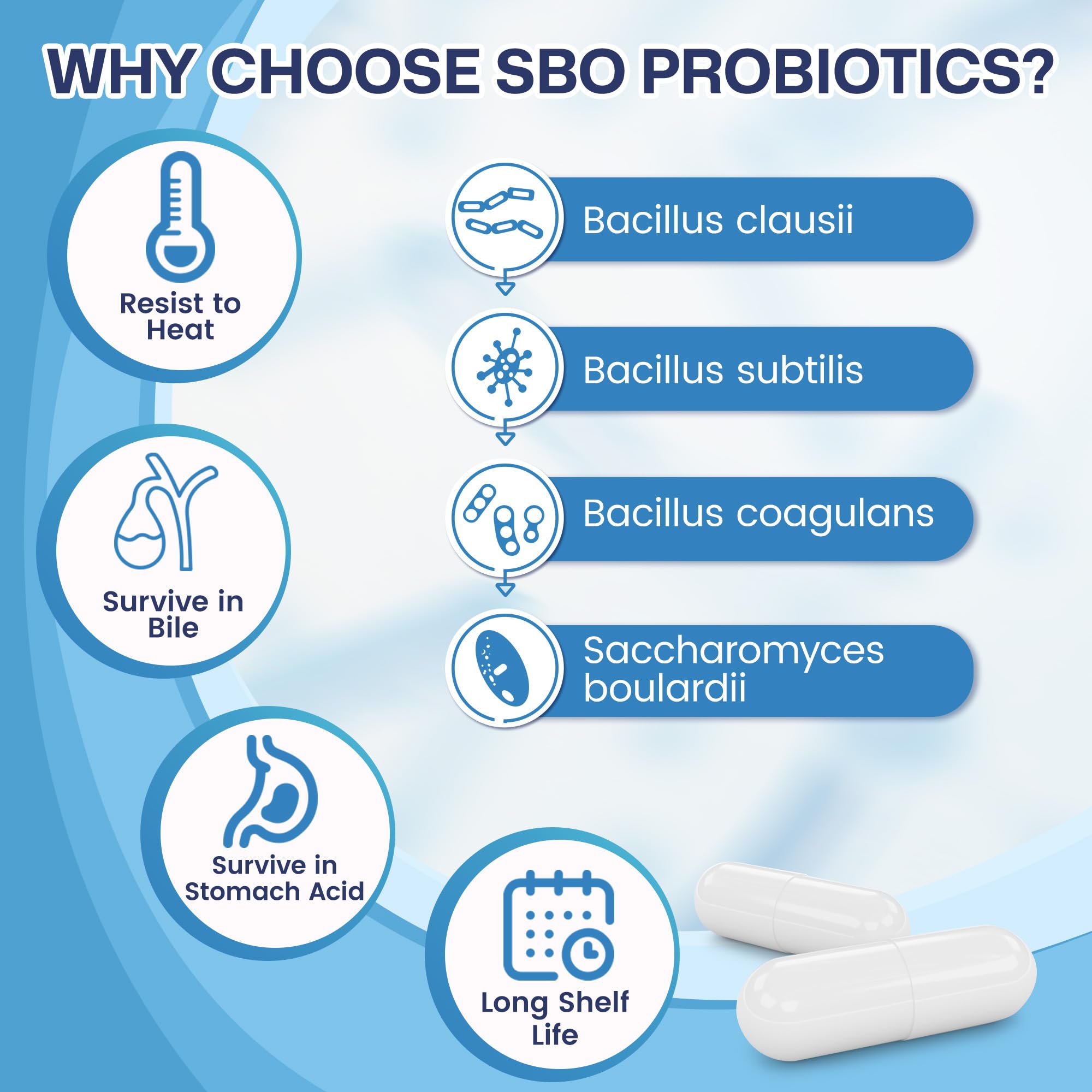 Nature Target Probiotics prebiotic fiber blend supports probiotic growth.