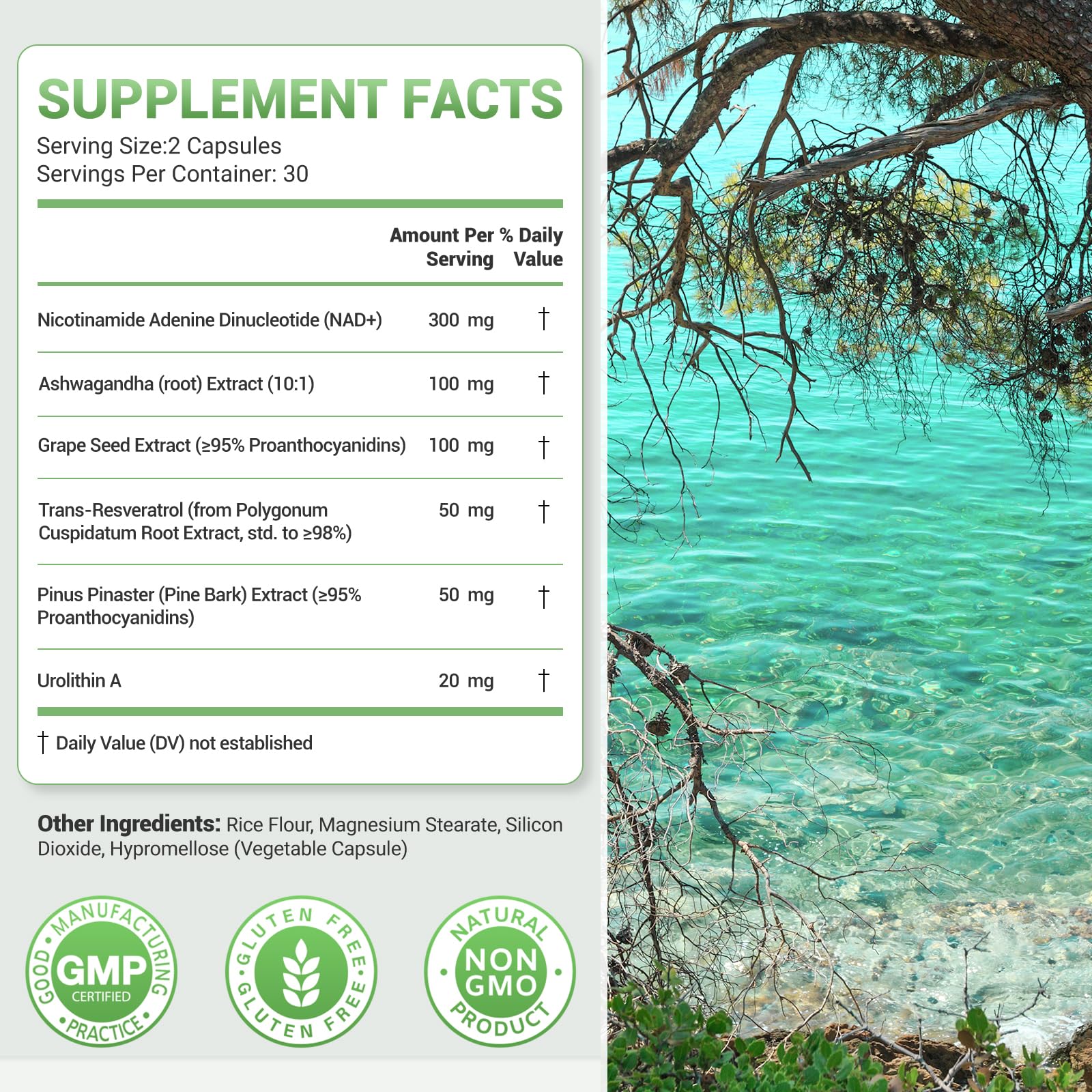 Nature Whisper NAD+ capsules close-up showing smooth, odorless daily capsules for easy use