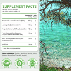 Nature Whisper NAD+ capsules close-up showing smooth, odorless daily capsules for easy use
