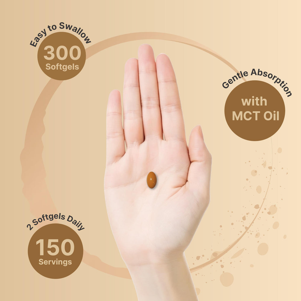 NatureBell ginger with MCT Oil softgels emphasizing enhanced absorption.