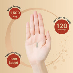 NatureBell packaging displaying gluten-free and non-GMO badge