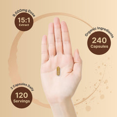 Lion's Mane powder extract detail highlighting authentic sourcing for potency.