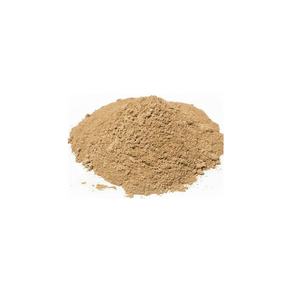 Naturejam Lions Mane powder with scoop for accurate measuring in recipes.