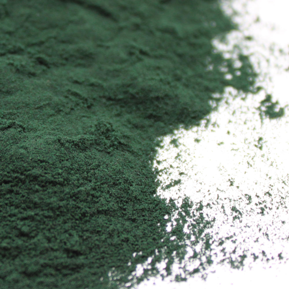 Naturejam spirulina powder scoop for convenient pre-workout use