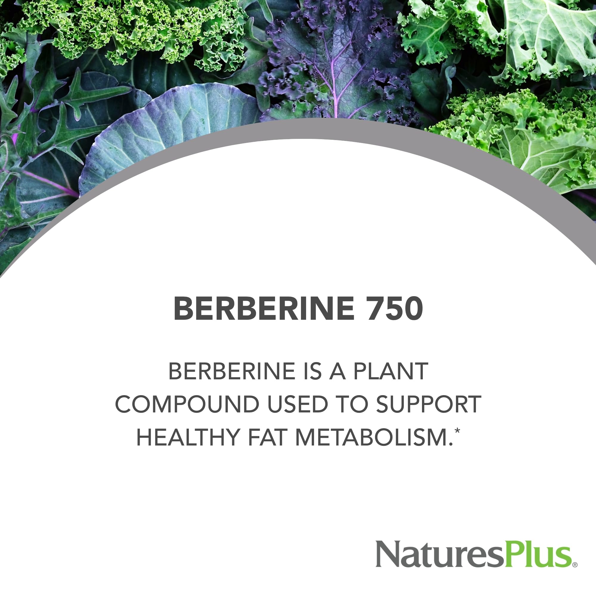 NaturePlus PRO Berberine label closeup confirms vegan non GMO gluten-free formulation.