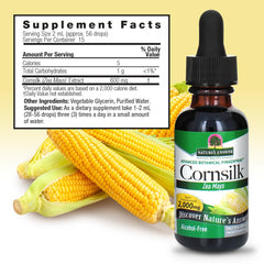 Nature's Answer cornsilk extract label highlighting gluten-free and non-GMO quality