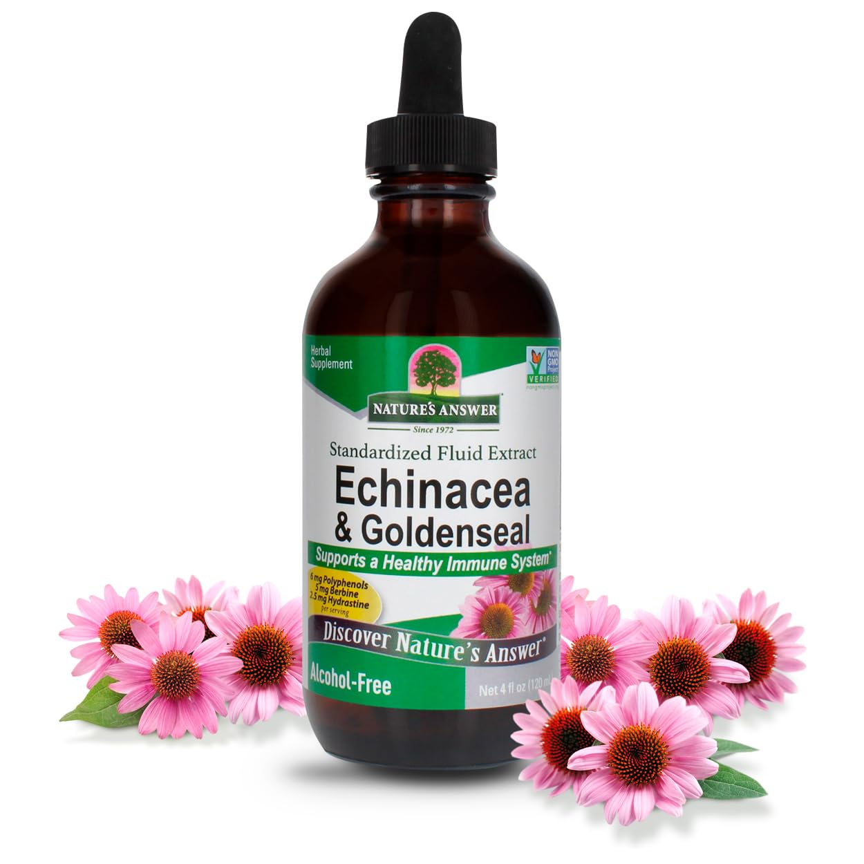 Nature's Answer Echinacea and Goldenseal bottle showing pure herbal extract for daily use
