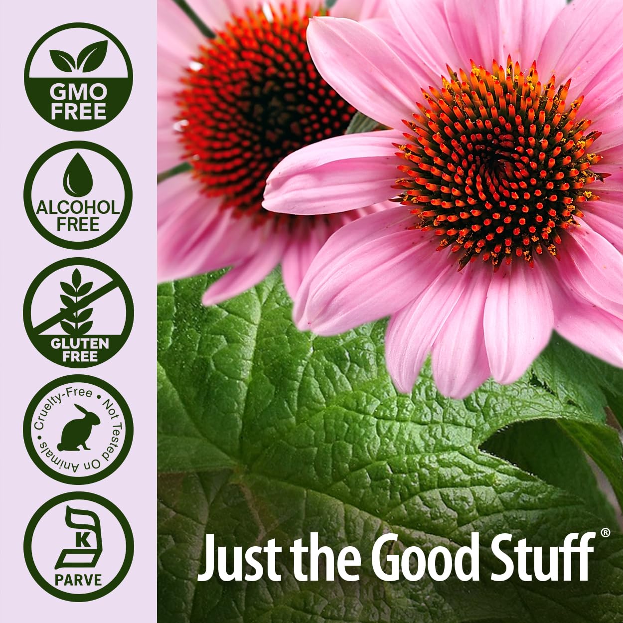 Label close-up of Nature's Answer Echinacea and Goldenseal highlighting purity