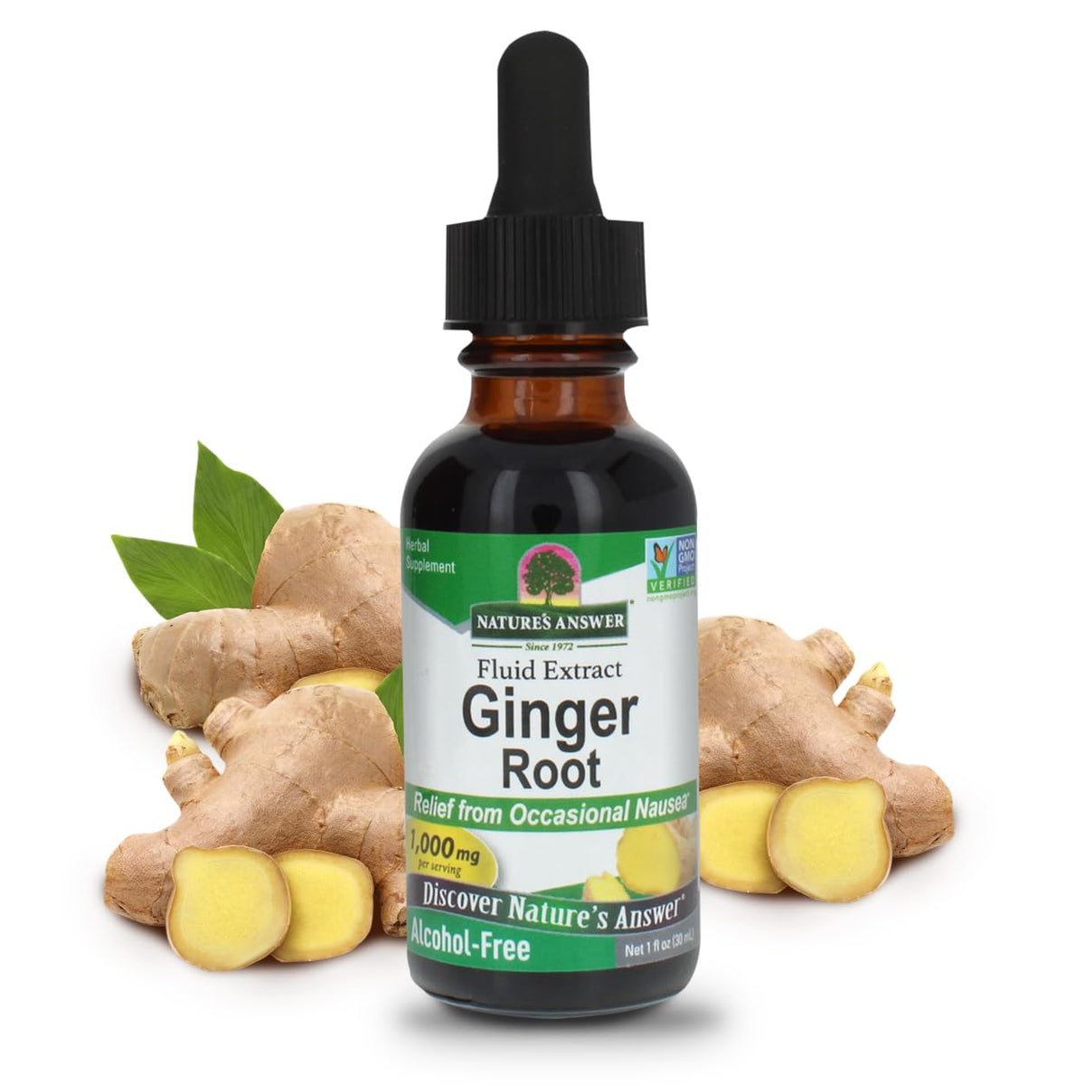 Nature's Answer ginger root extract bottle for digestive support