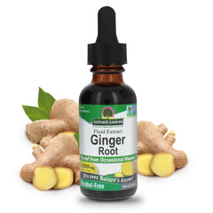 Nature's Answer ginger root extract bottle for digestive support