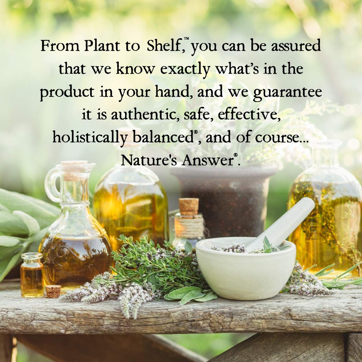 Nature's Answer Licorice Root ingredients panel shows herbal components