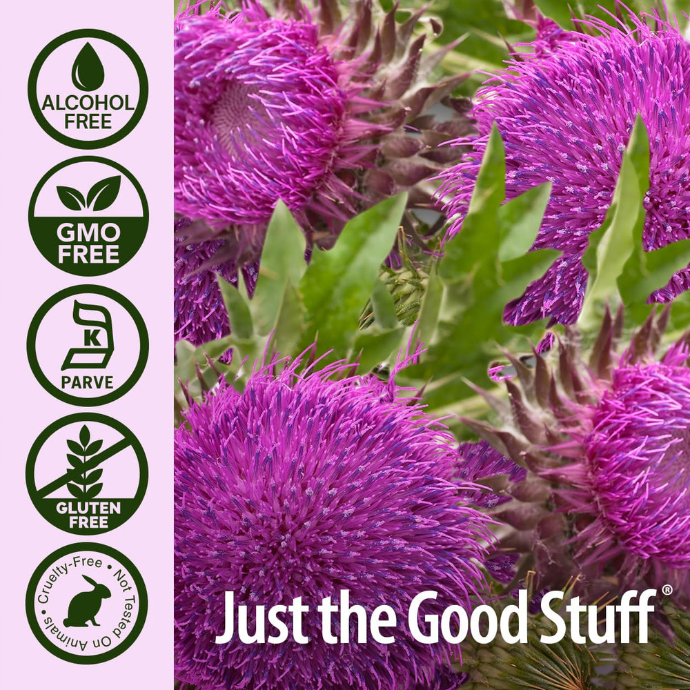 Amber liquid in Nature's Answer Milk Thistle bottle signaling cold extraction quality.