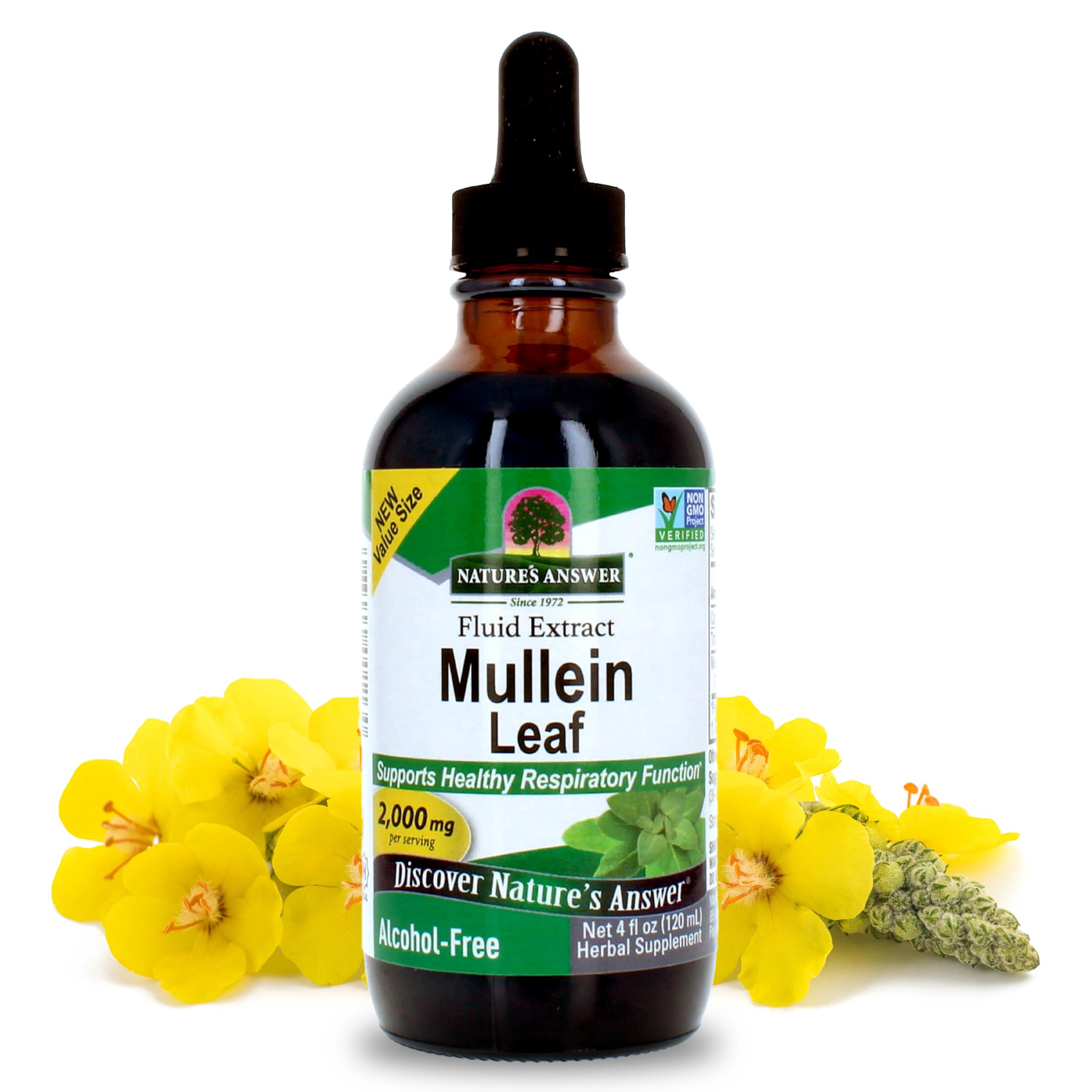 Nature’s Answer Mullein Leaf Extract bottle with dropper for daily respiratory support