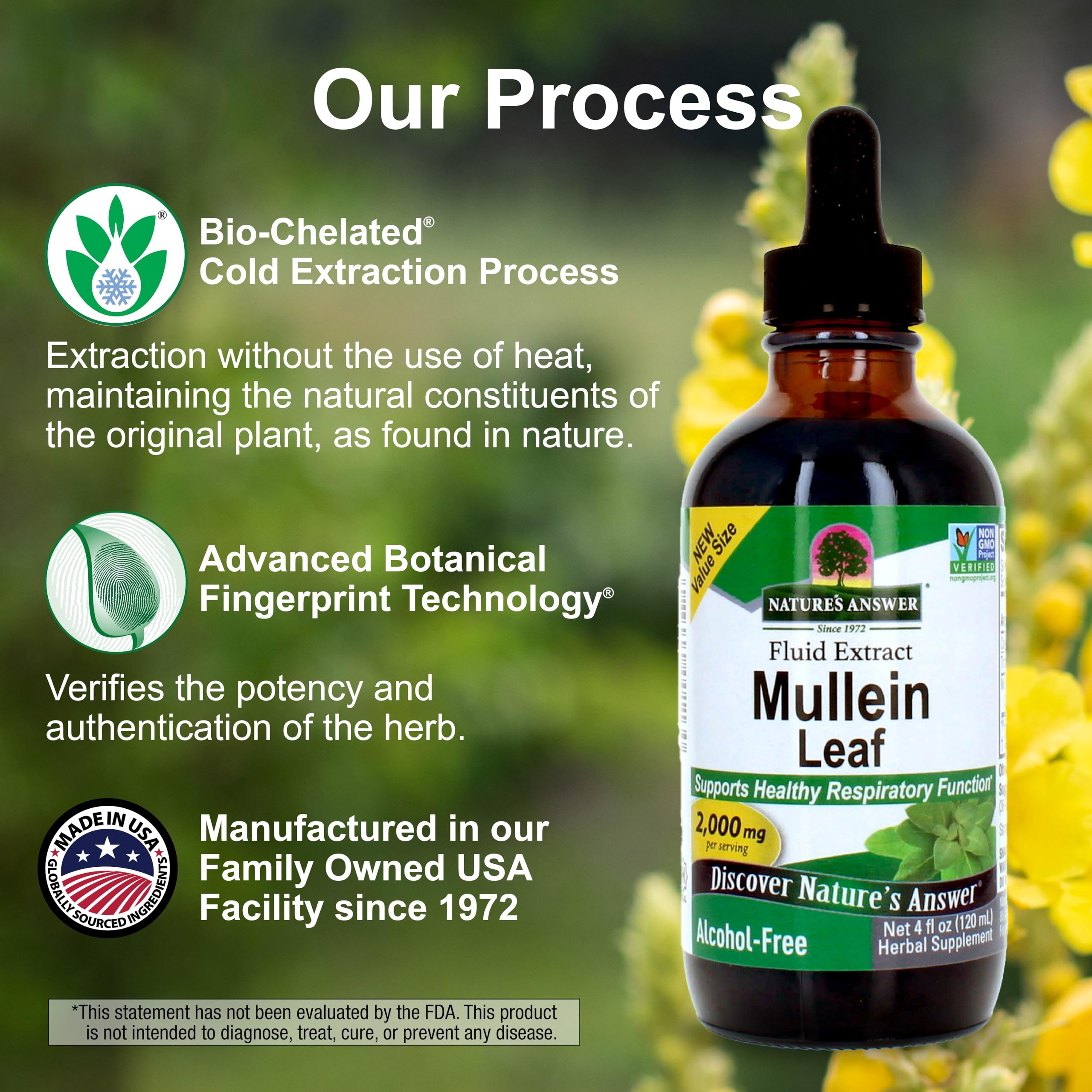 Nature’s Answer Mullein Leaf Extract ingredients in glass emphasizing vegan, non-GMO wellness