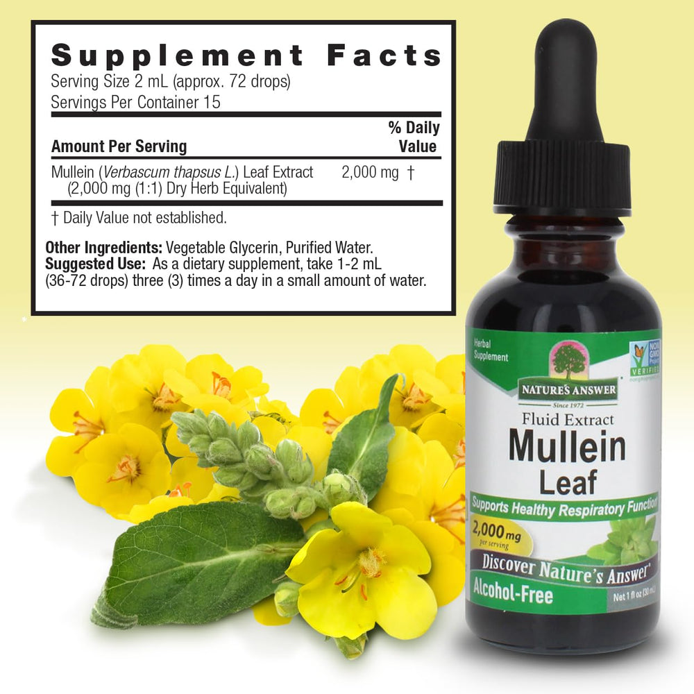 Nature's Answer Mullein Leaf Extract label shows non-GMO and kosher attributes.
