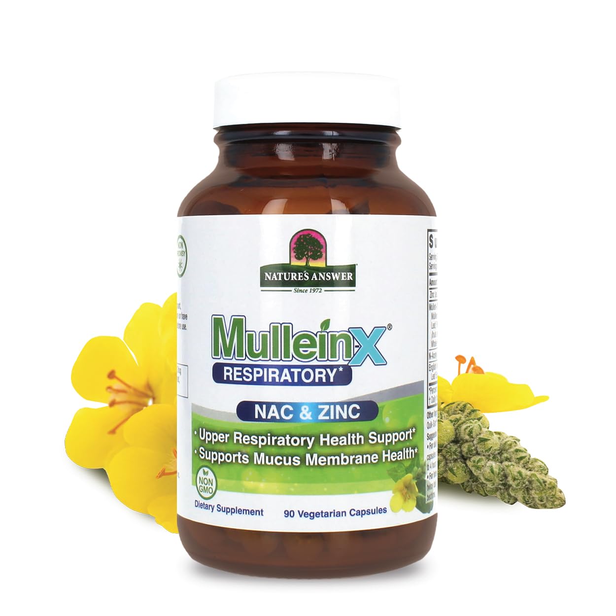 Nature's Answer MulleinX respiratory bottle front shows product branding and form factor for upper respiratory support