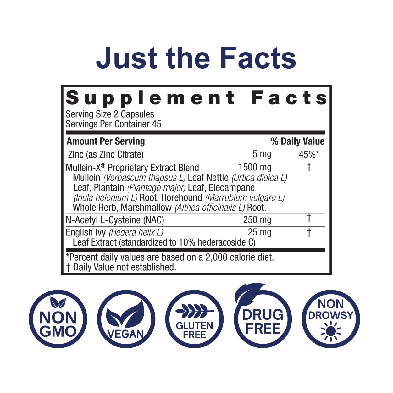 Nature's Answer MulleinX label closeup emphasizing NAC and zinc for immune and mucus support