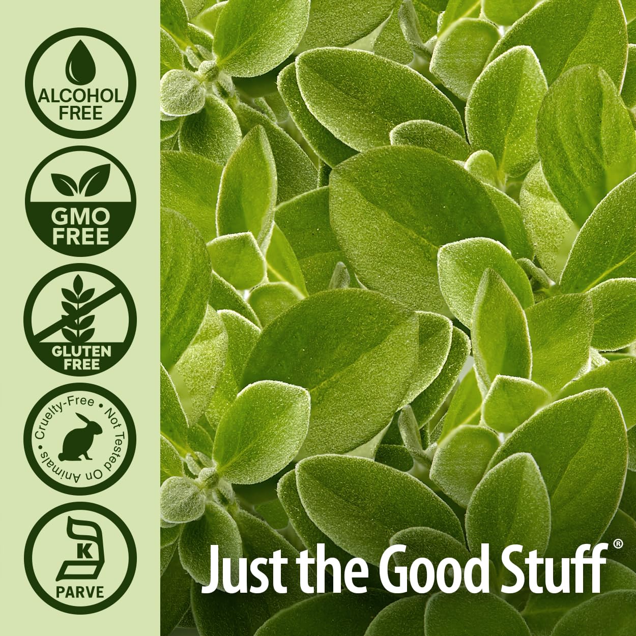 Nature's Answer Oil of Oregano Leaf glass with droplet indicates safe dosing.