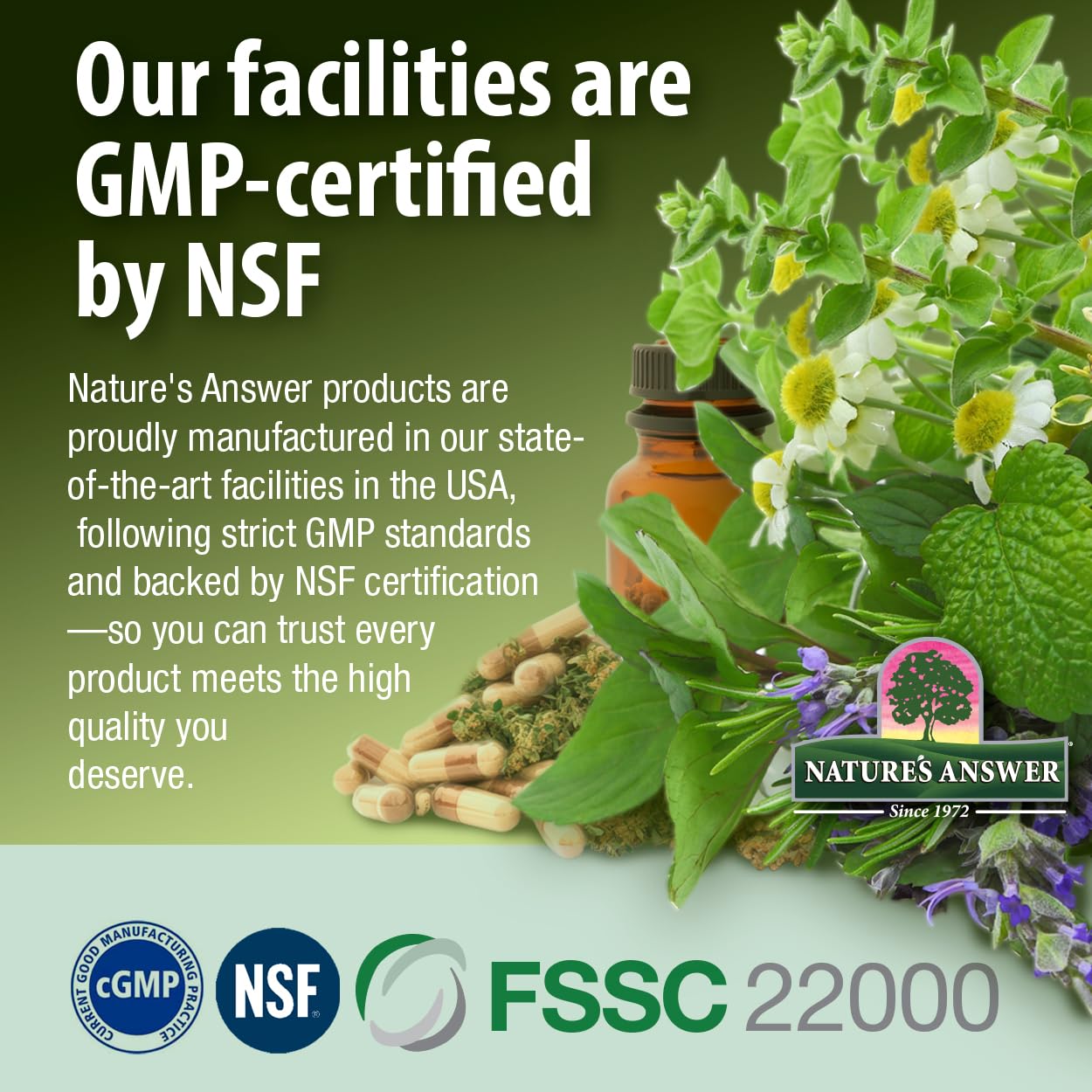 Gluten-free mark highlights safety for sensitive diets.