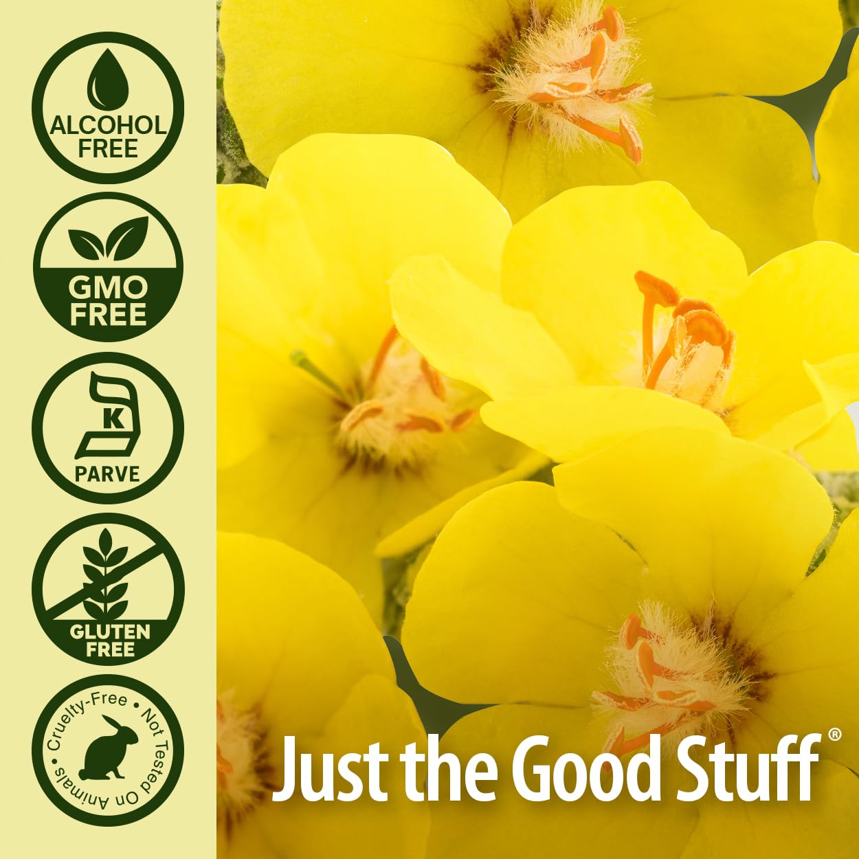 Nature's Answer Mullein Leaf Extract USA-made packaging emphasizes quality.
