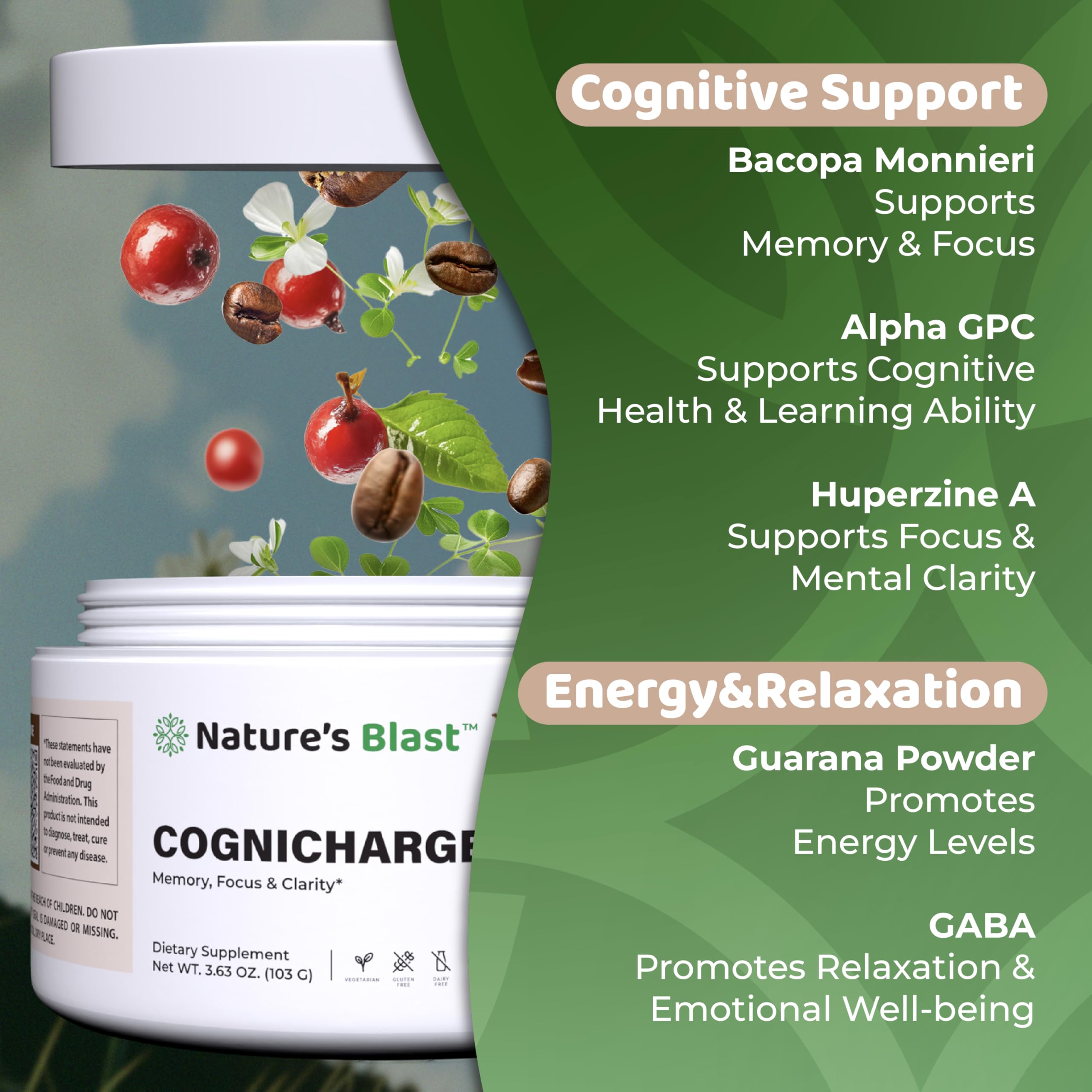 NATURES BLAST CogniCharge box water-mixing showing convenient daily use