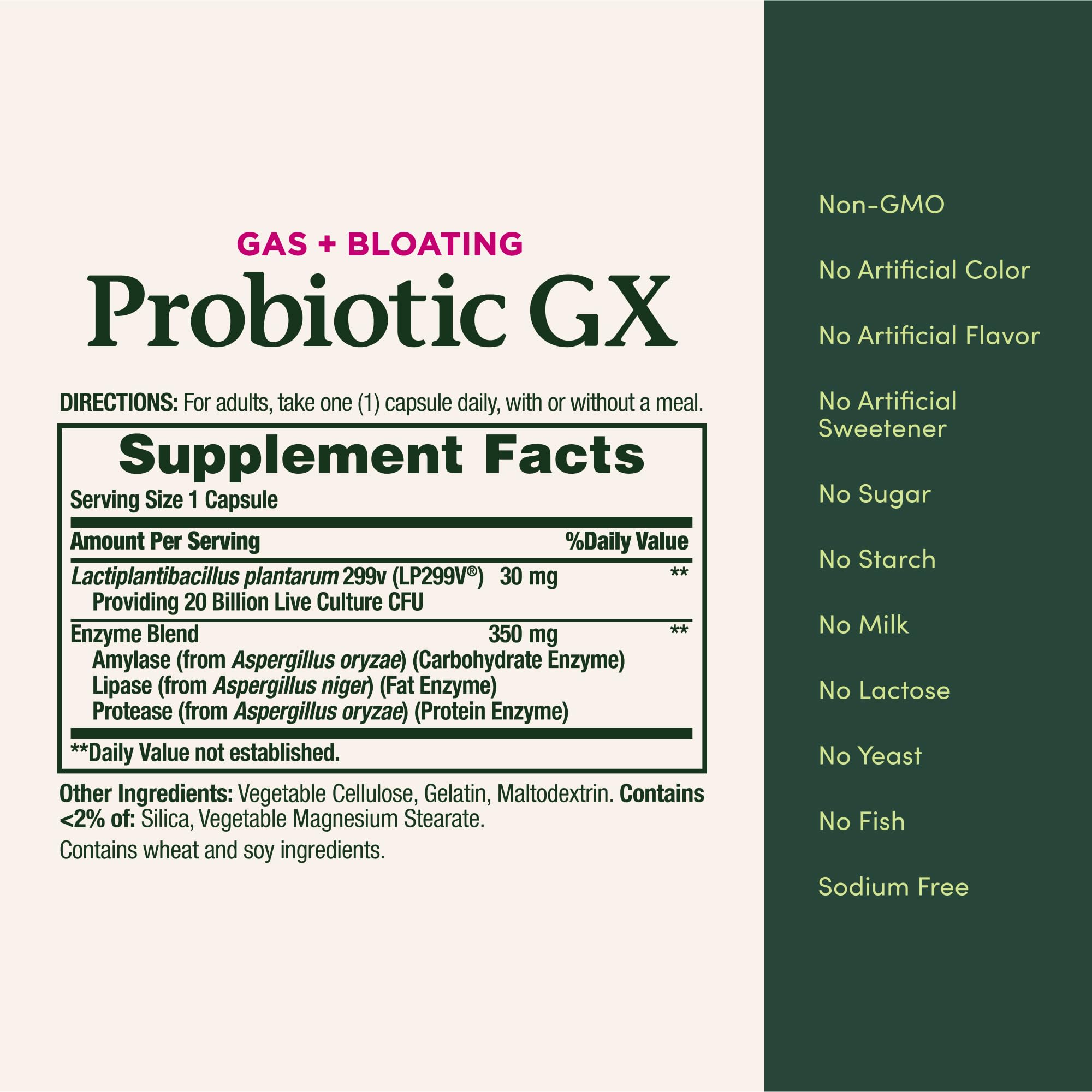 Nature's Bounty Probiotic GX capsules close-up emphasizing travel-friendly use